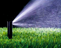 irrigation1.jpg