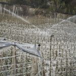 Irrigation Winterization