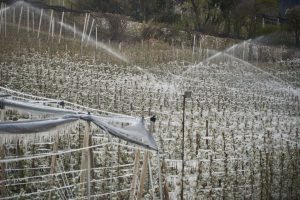 Irrigation Winterization in or near Auburn, Massachusetts