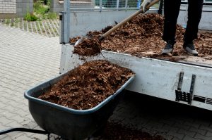bark mulch for Westborough, Massachusetts